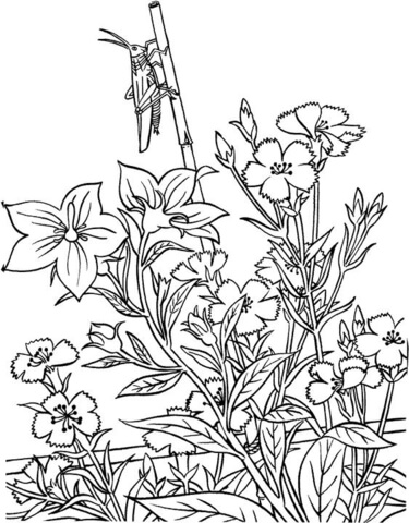 Grasshopper In Garden Coloring Page